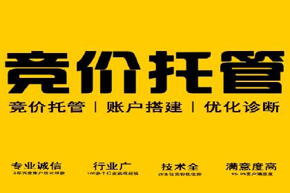 谷歌SEM与多语言市场拓展：国际品牌如何利用SEM进行全球化推广